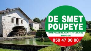 Instapklare villa op mooi perceel grond 