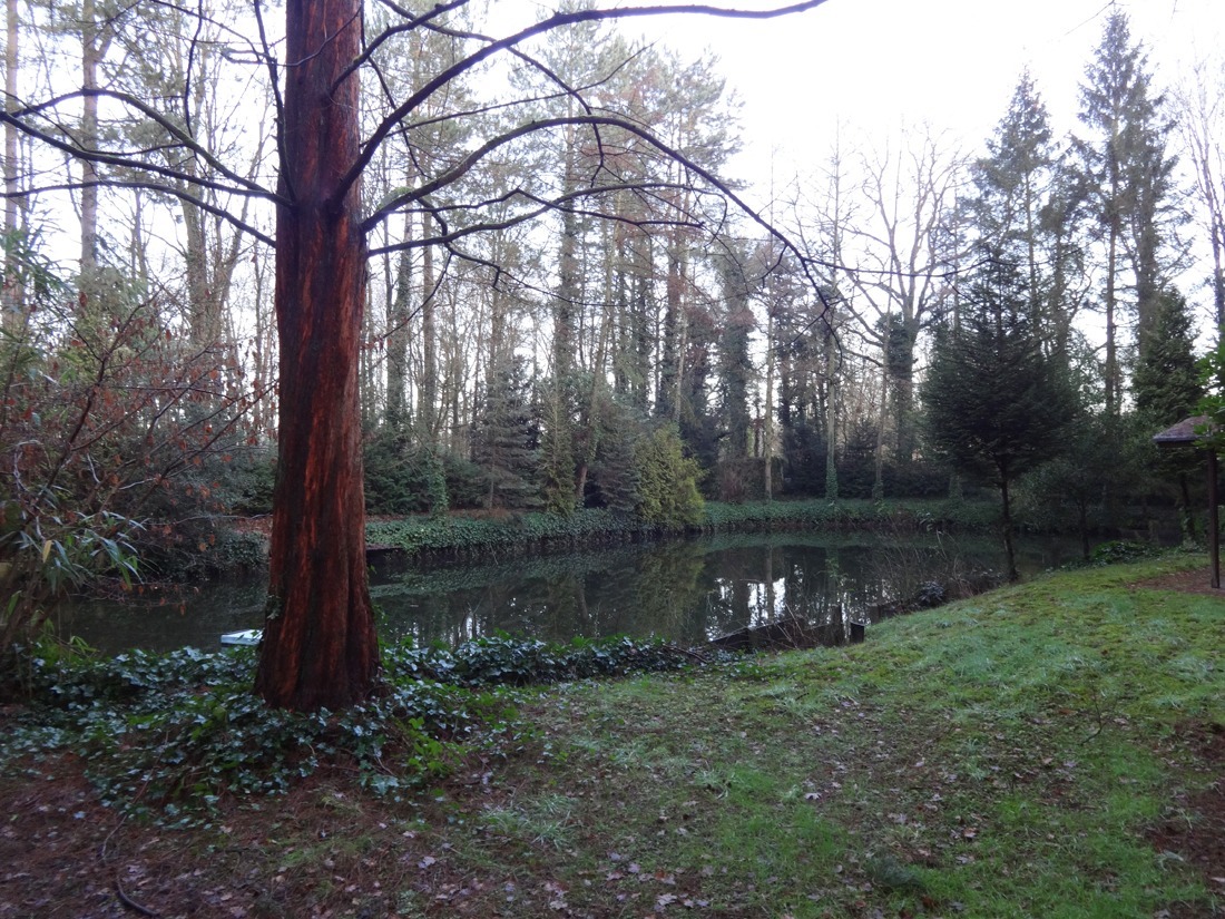 Verkocht bos - Berbroek