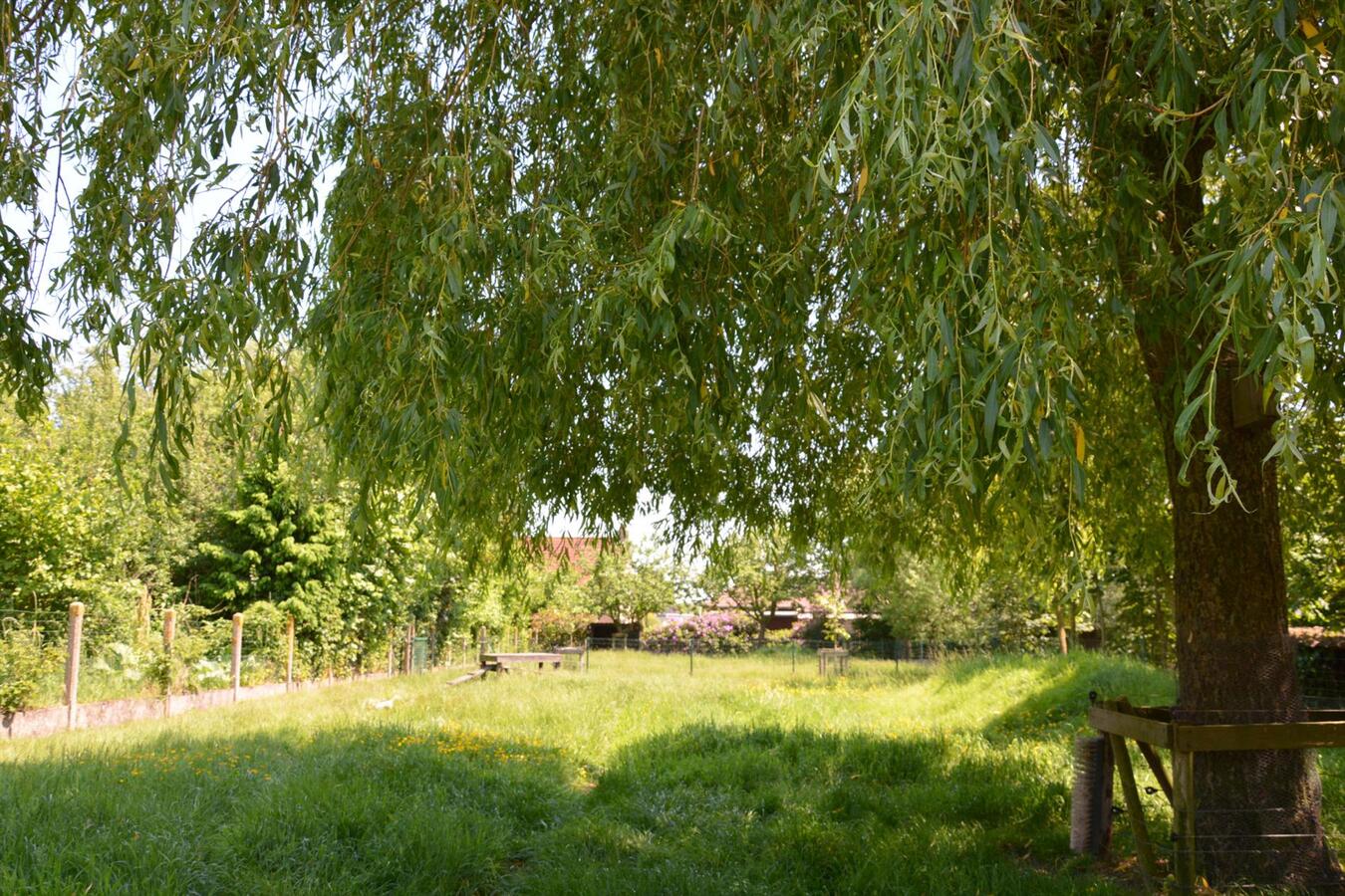 Woning met polyvalente handelsruimte te Jabbeke 