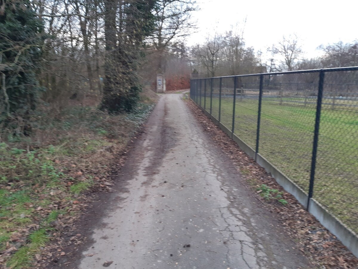 Gezellig 1 slpk-appartement / loft met terras. 