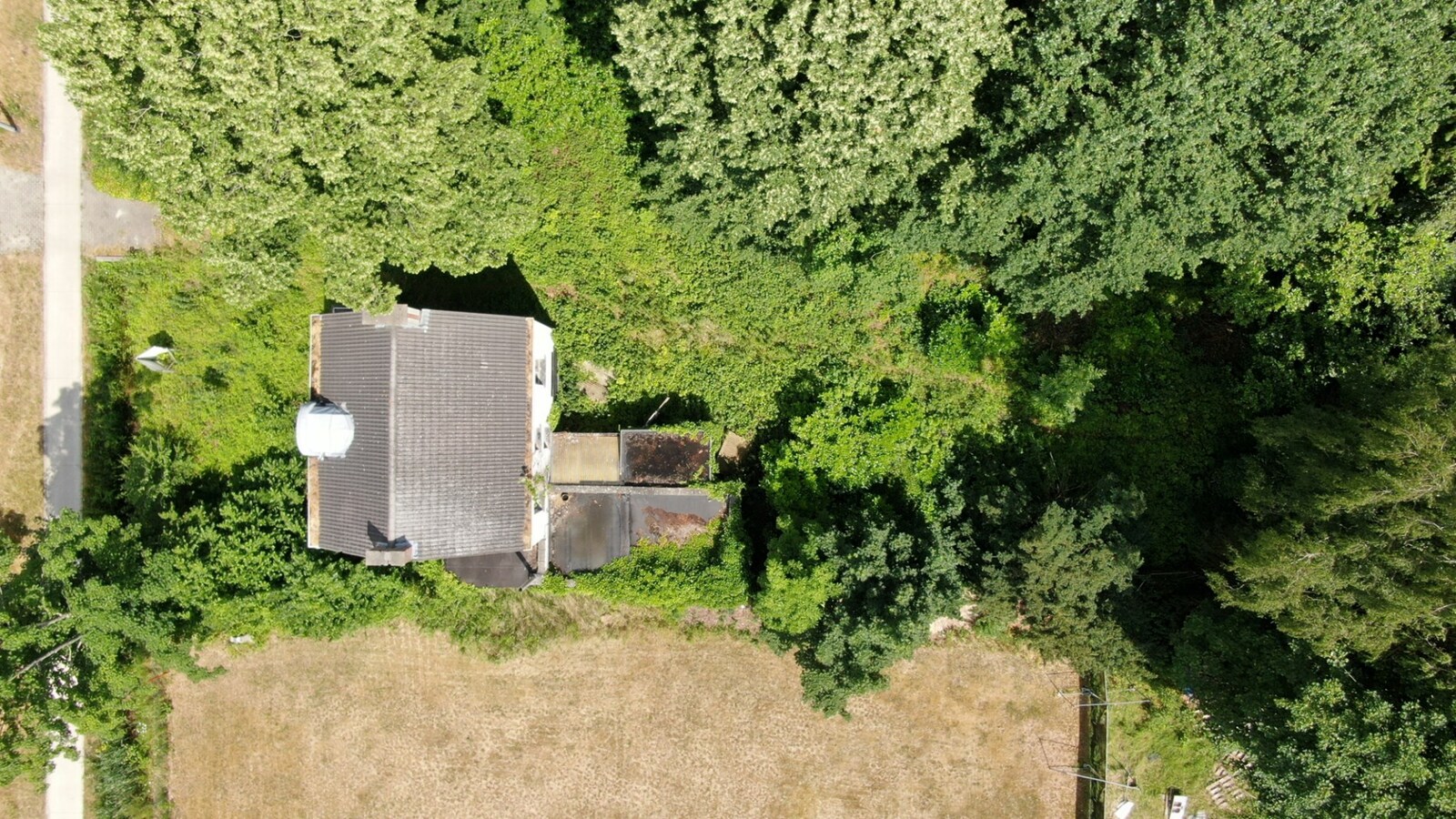 Projectgrond op een perceel van 2.579 m² met 24 meter straatbreedte. 