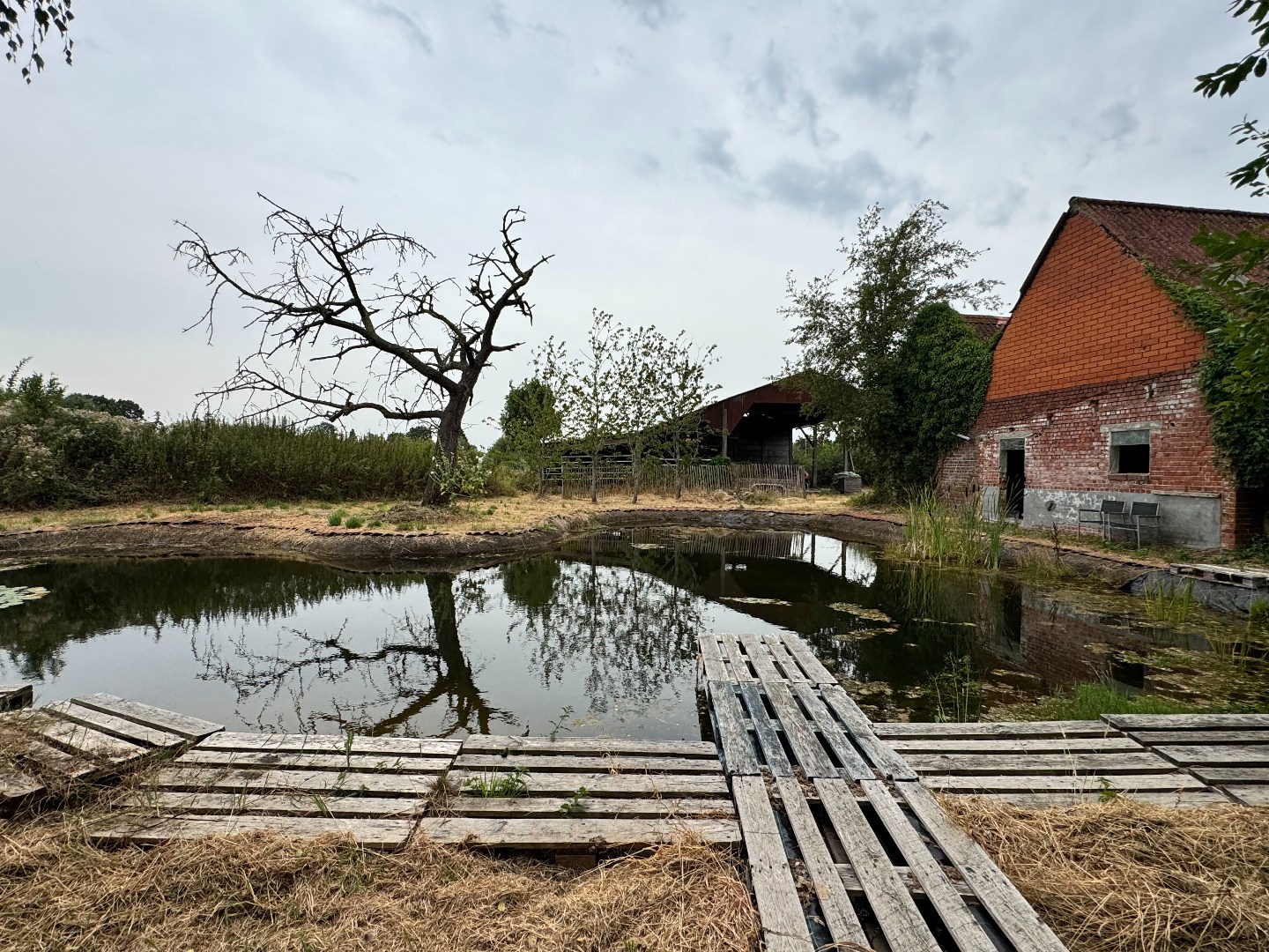 Landelijk gelegen woning met bijgebouwen op 3.850 m². 