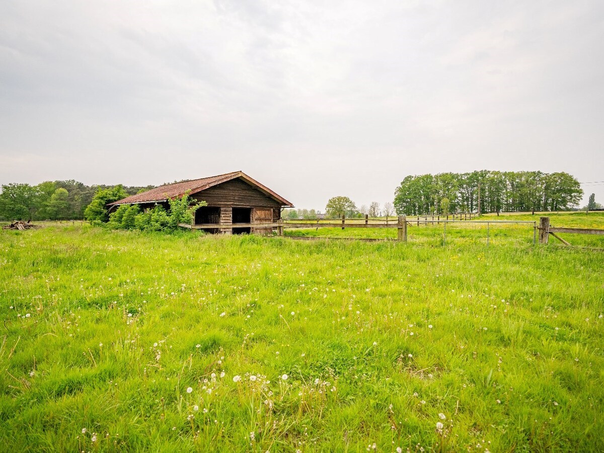 Prachtig hippische accomodatie op ca. 5,2 ha te Herselt 
