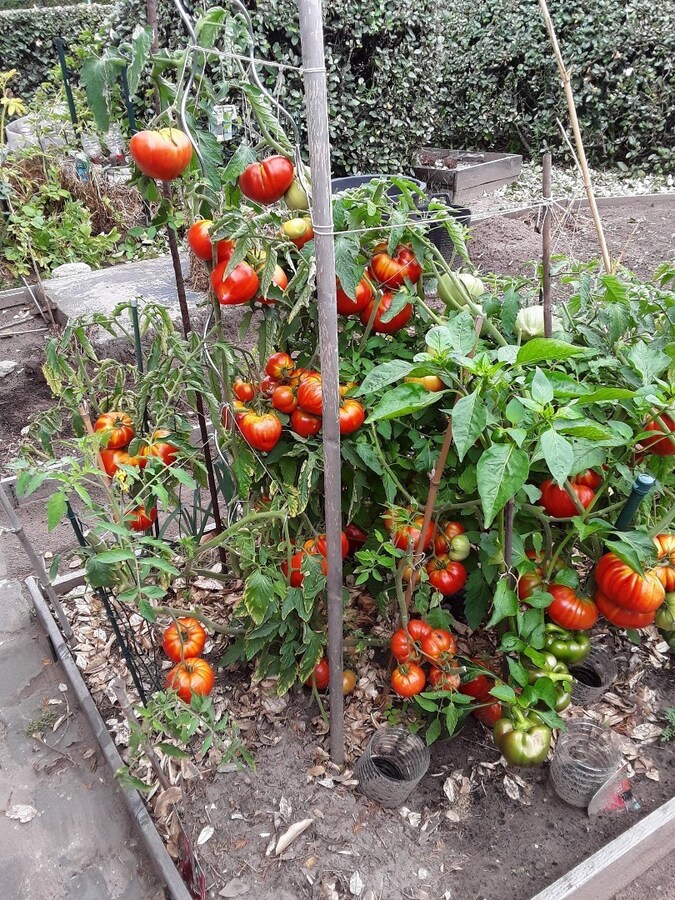 Ruime, stijlvolle villa op 21 are, vlot bereikbaar E17 (Kortrijk - Gent) 