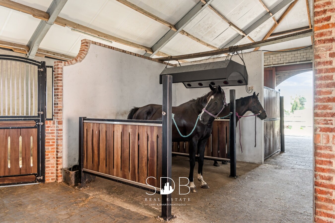 Prachtige landelijke woning met hippische accommodatie op 2,5hectare 