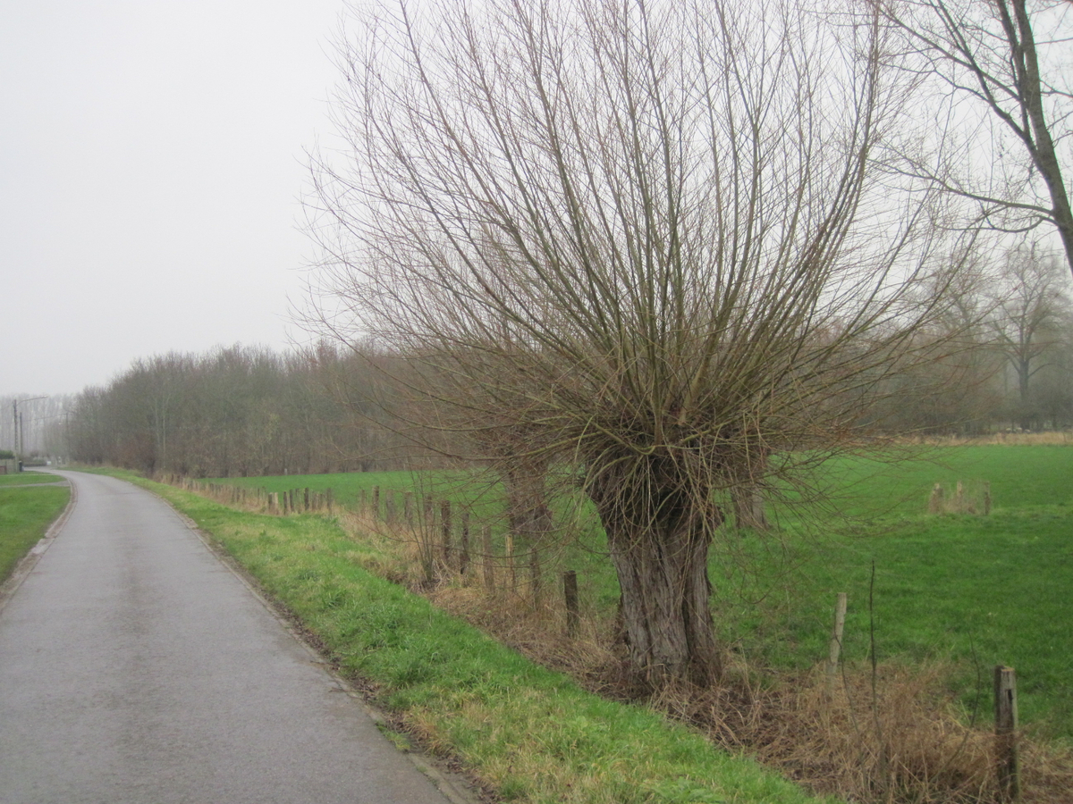Stijlvolle en degelijke bungalow. Unieke ligging. 