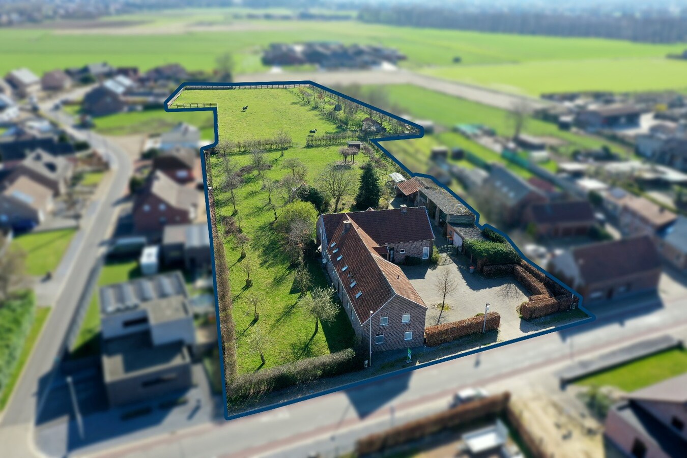 Unieke hoeve met woonst, 3 appartementen en paardenstallen op een ruim perceel van ca 1,2ha te Dilsen-Stokkem 