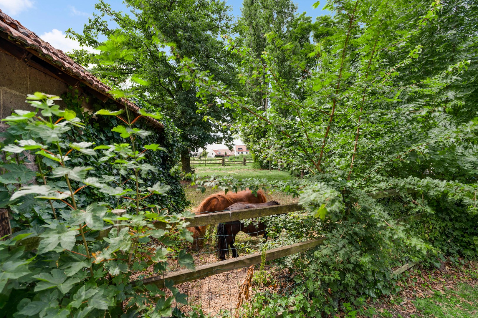 Woonboerderij te koop in Weert