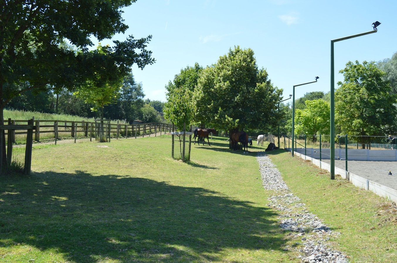 Mooie gezinswoning met stalgebouw en piste op ca. 5400m² te Dworp 