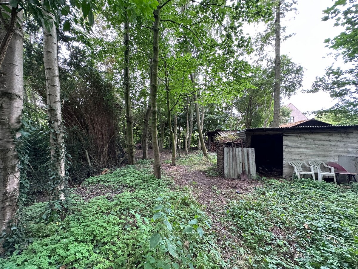 Grond te koop te Koekelare 