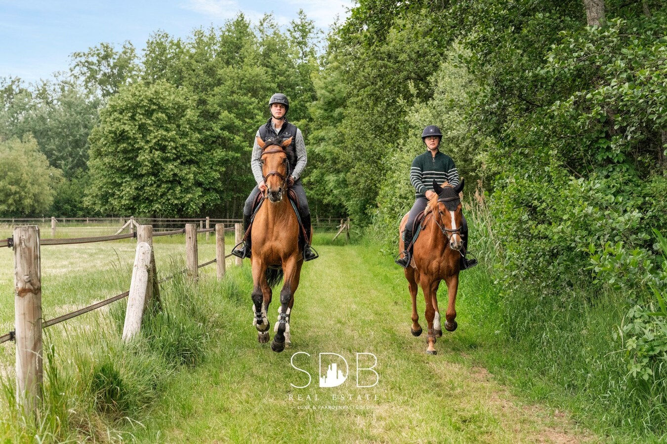 Prachtige villa met hippische accommodatie en graslanden op +/- 9 ha 