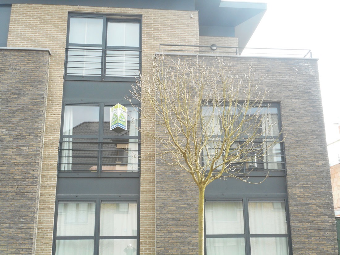 Verhuurd appartement - Schulen