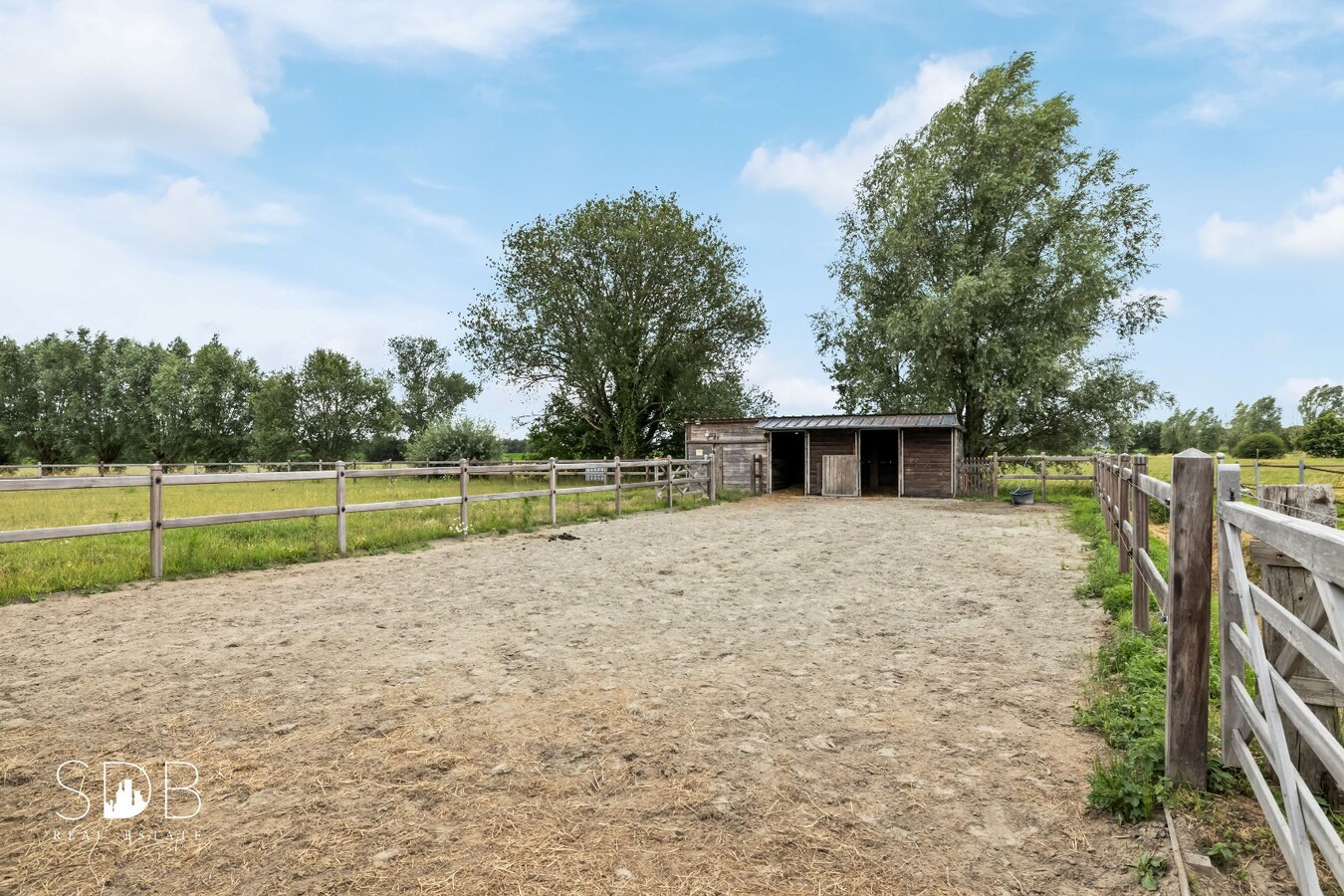 zandpaddock, paddock