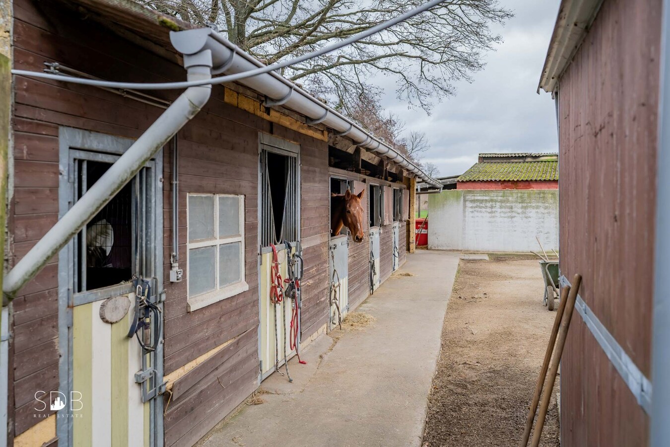 Landelijke woning met paardenaccommodatie en graslanden op 3ha 71a 90ca 