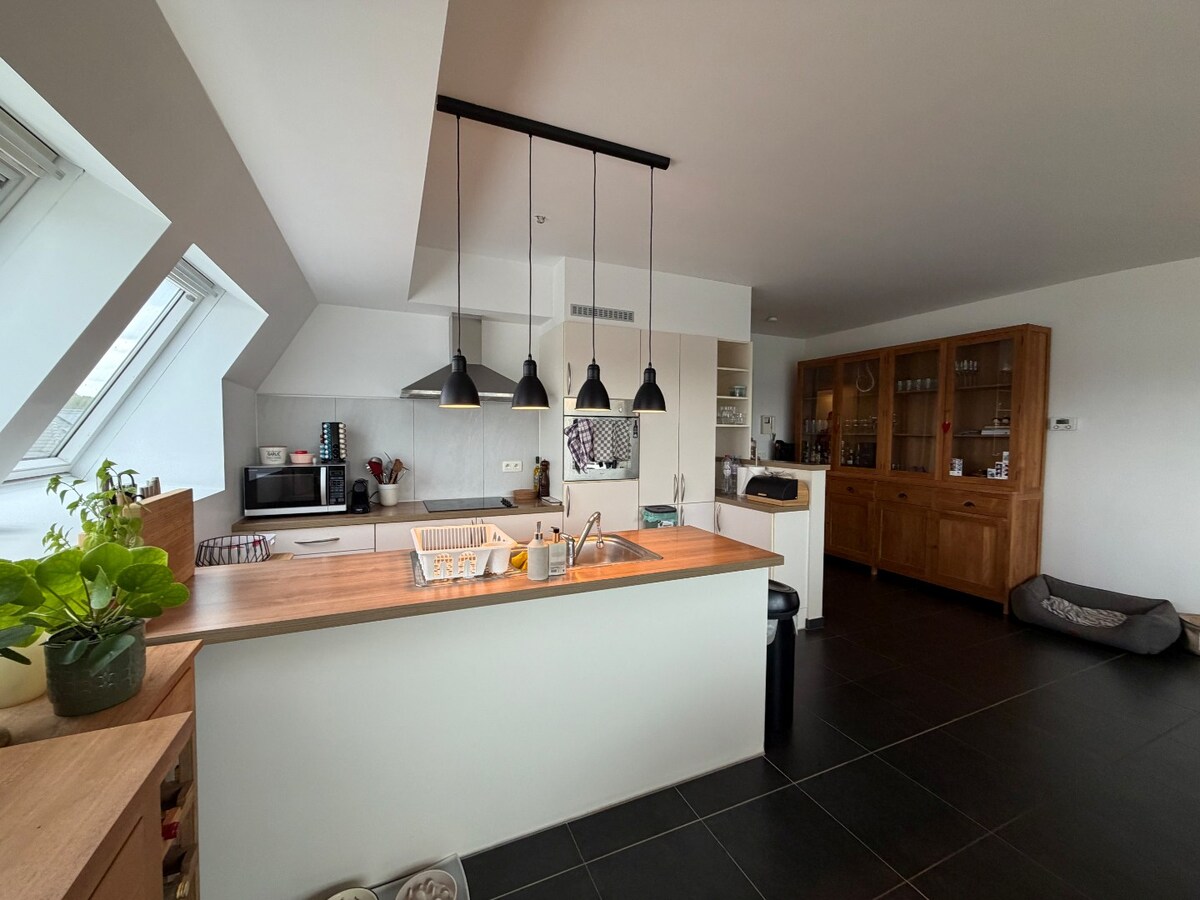 Luxueus dakappartement te Asper. 