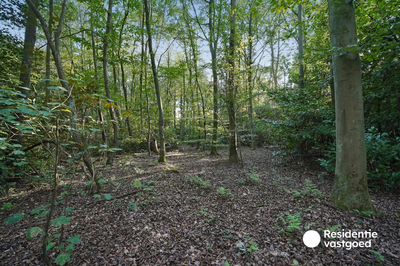Te koop grond - Damme