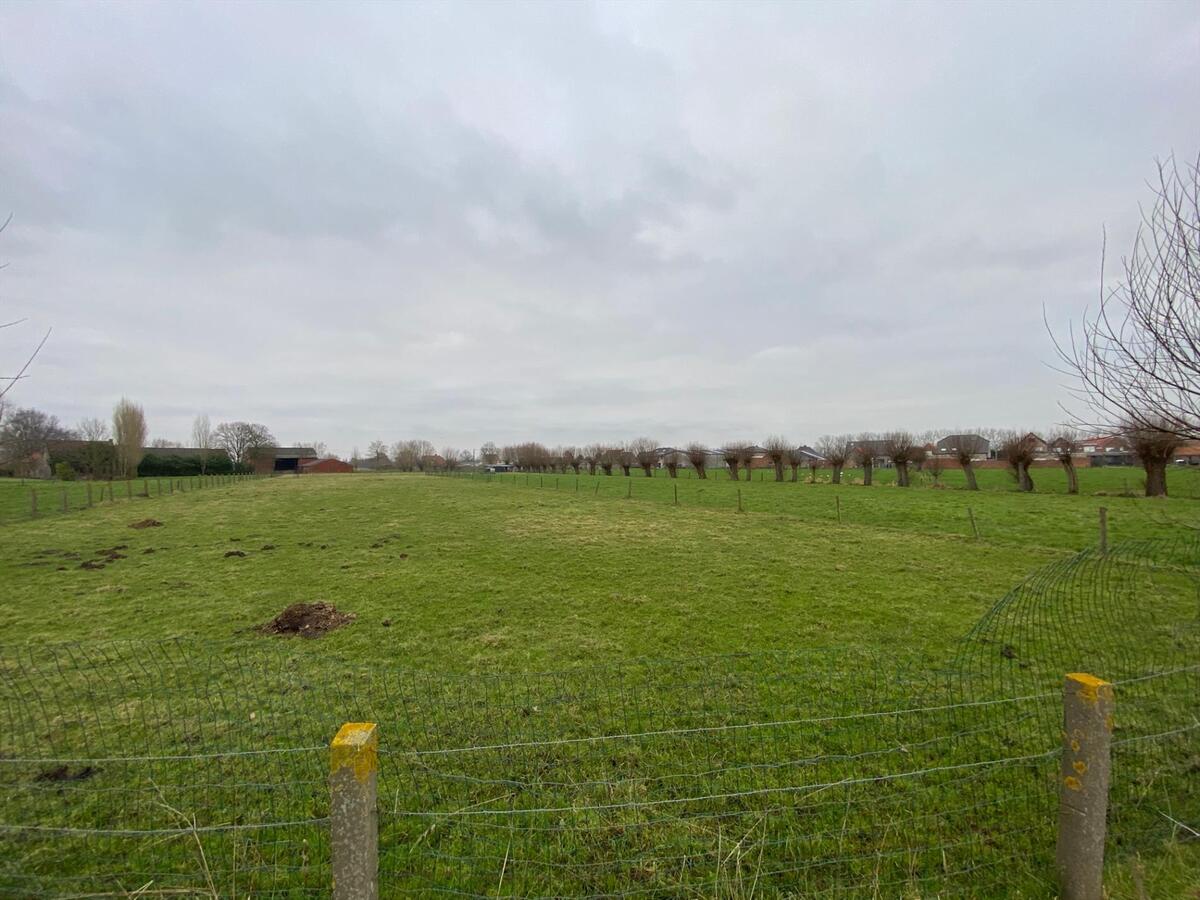 Stuk weiland te Roksem 