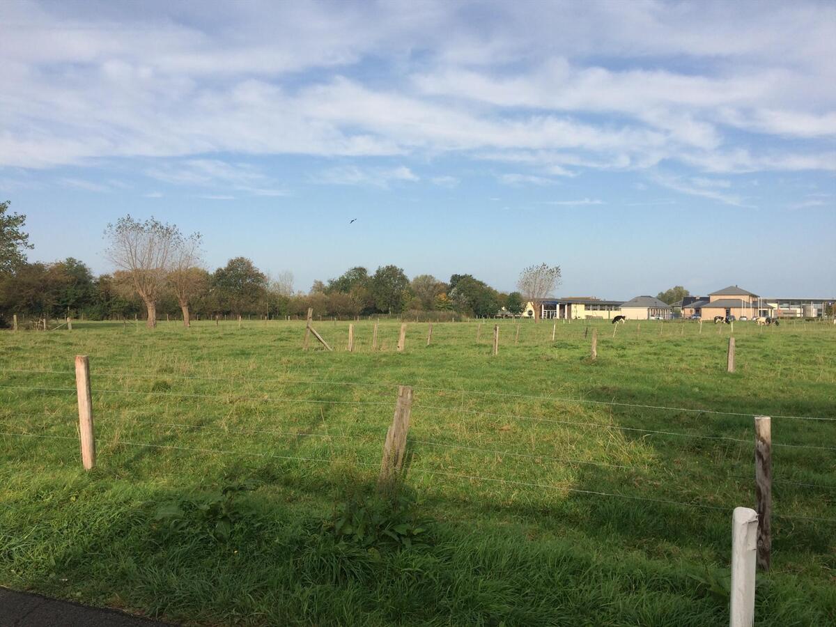 RUIME RIJWONING MET GARAGE EN PERFECT ZUIDGERICHTE TUIN 