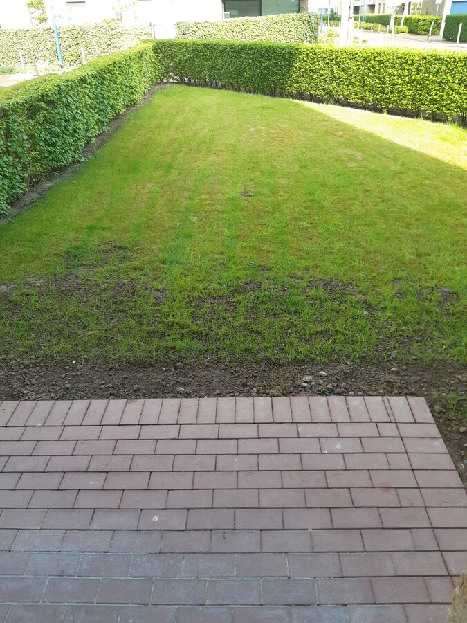 Aangename studio nabij Station (in t groen met terras). 