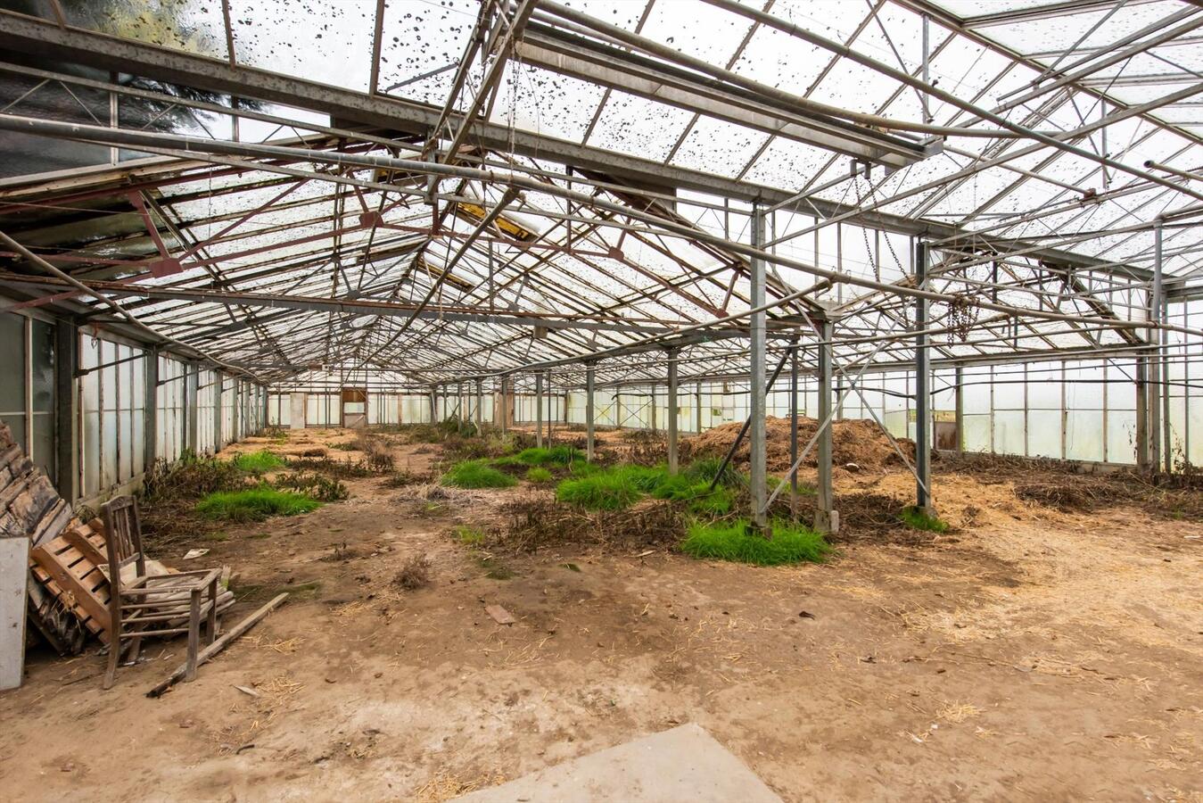 Landelijk gelegen woning met bijgebouwen op 9070m² 