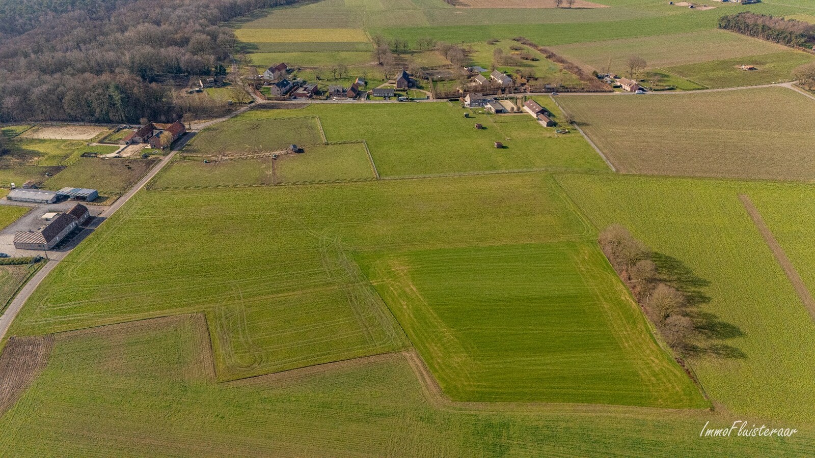 Woning met paardenstallen en buitenpiste op ca. 6,5ha te Bree 