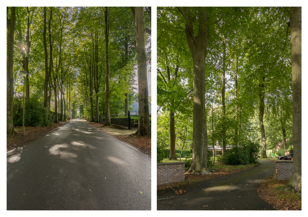 Modernistische laagbouwvilla op residentiële toplocatie te Destelbergen 