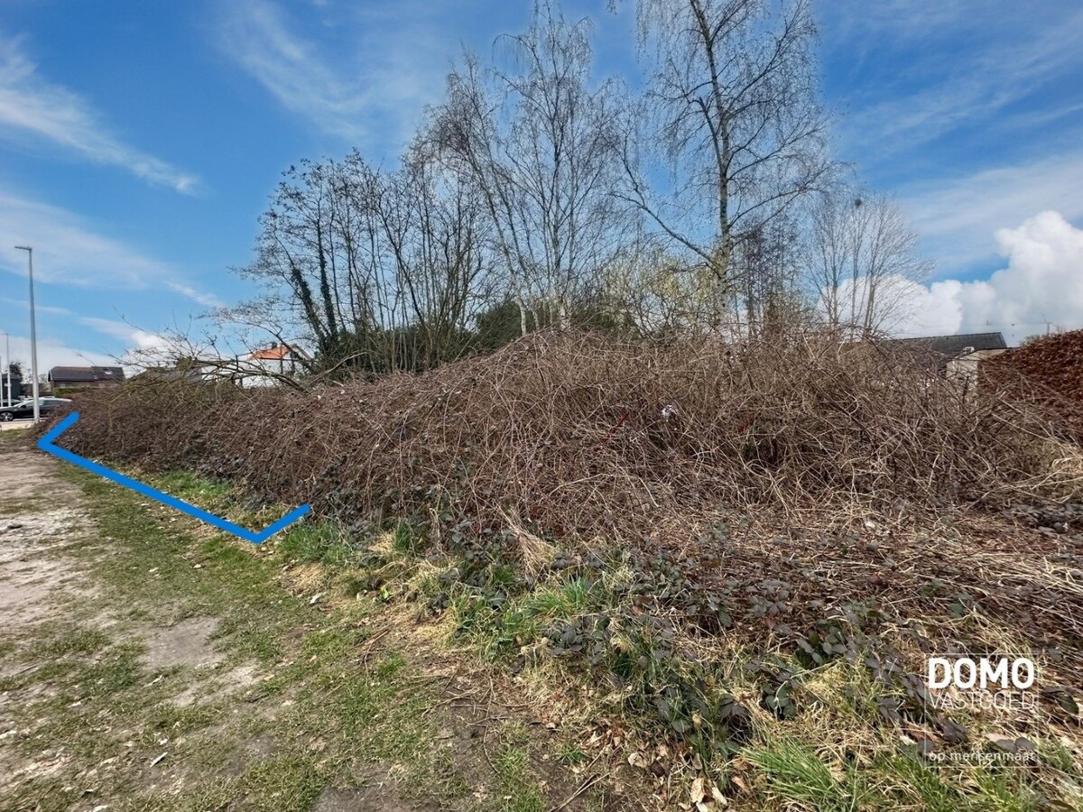 BOUWGROND MET EEN OPPERVLAKTE VAN 5A56 VOOR OPEN BEBOUWING TE KOOP IN LEOPOLDSBURG 