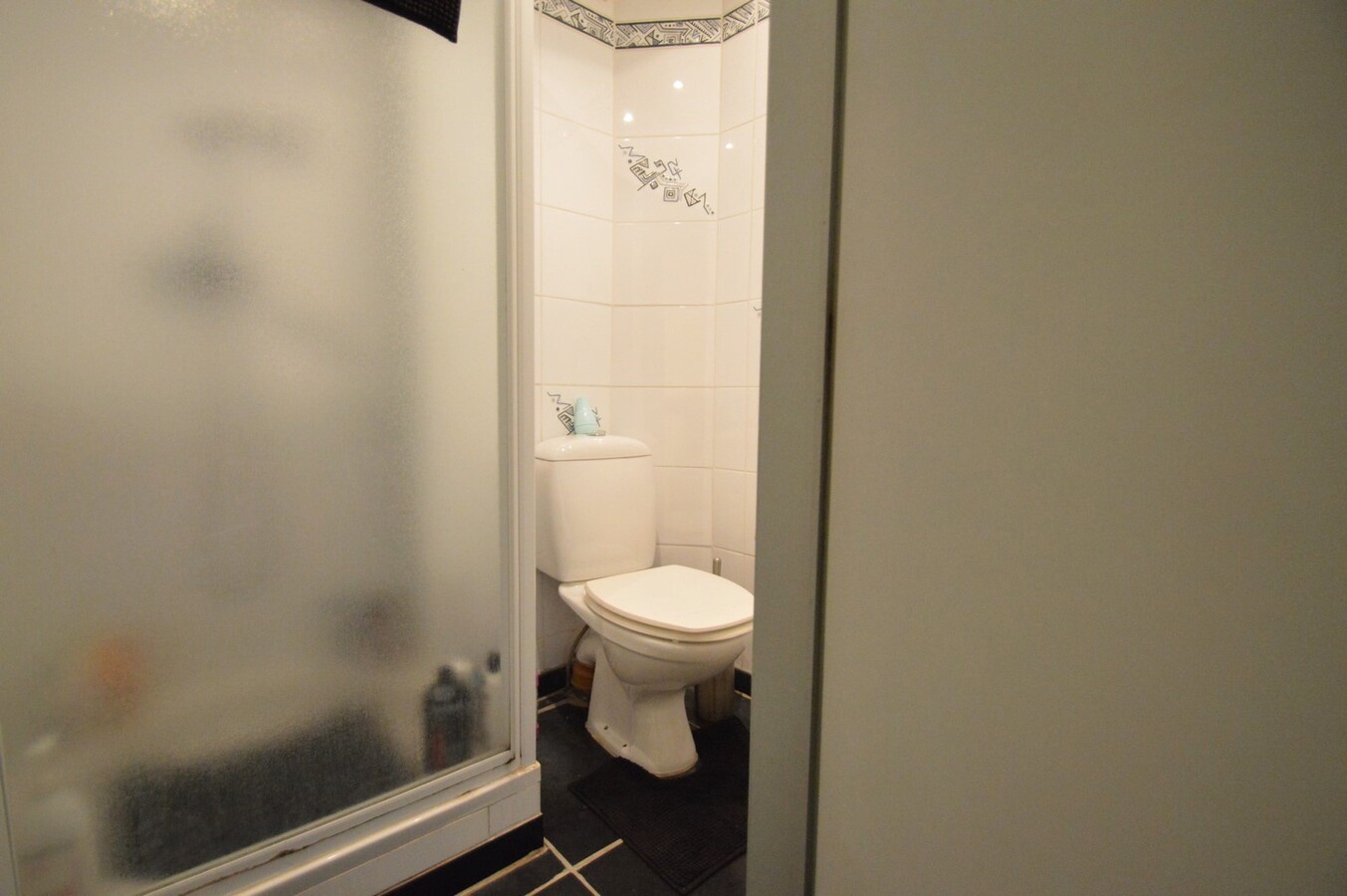 Mooie woning met hangar en ingericht appartement - Duinbergen 