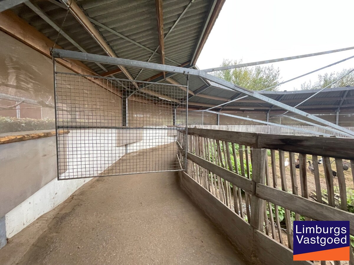 Landelijk gebouwencomplex voor paardenhouderij, op ong. 3ha 50a met stallen, weides/paddock, binnen-en buitenpiste, en woning. 