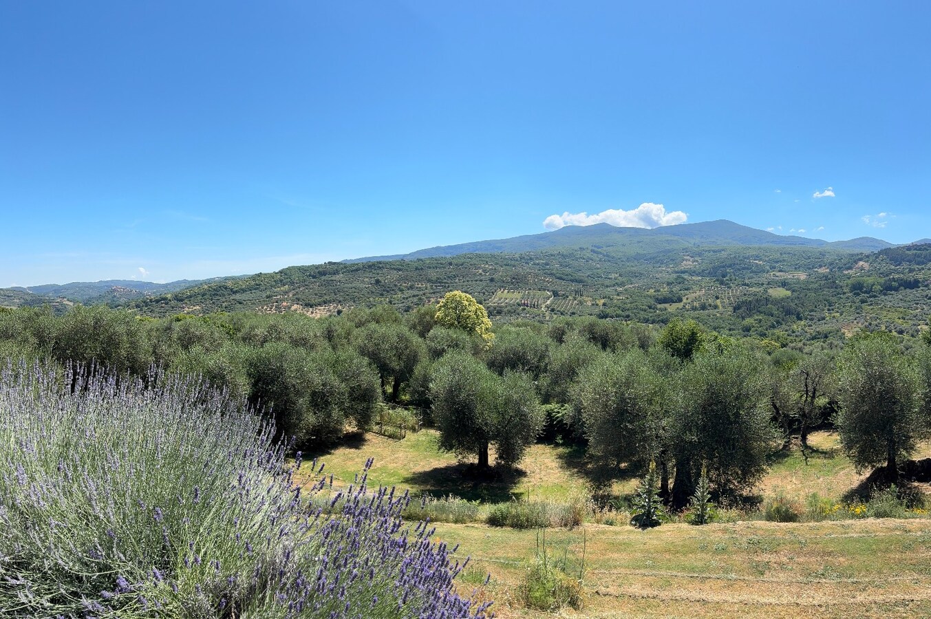 Een architecturale oase in het hart van Toscane 