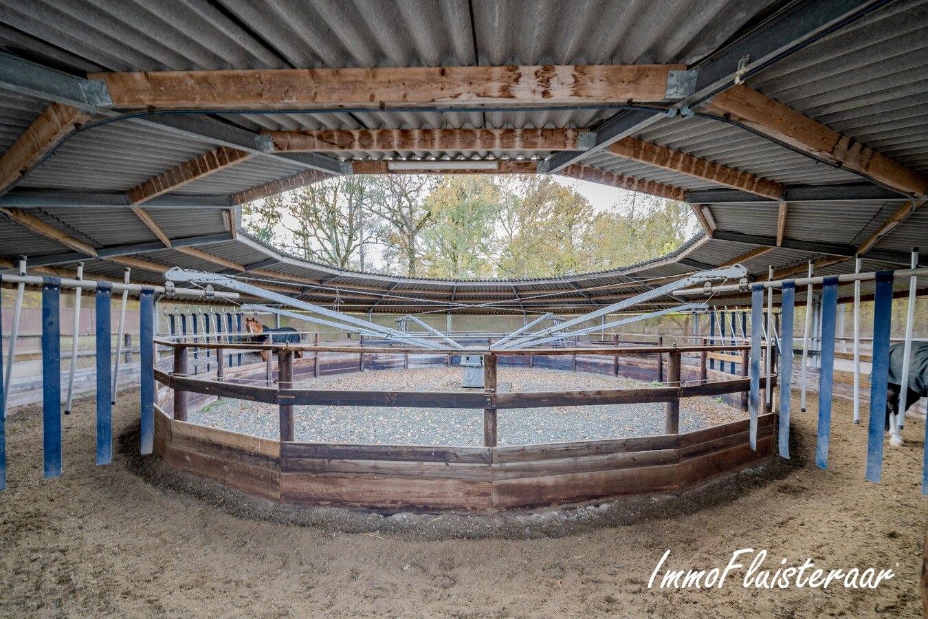 Exclusief Hippisch Complex met Uitstekende Trainingsmogelijkheden op ca 8,6 ha in Wuustwezel 