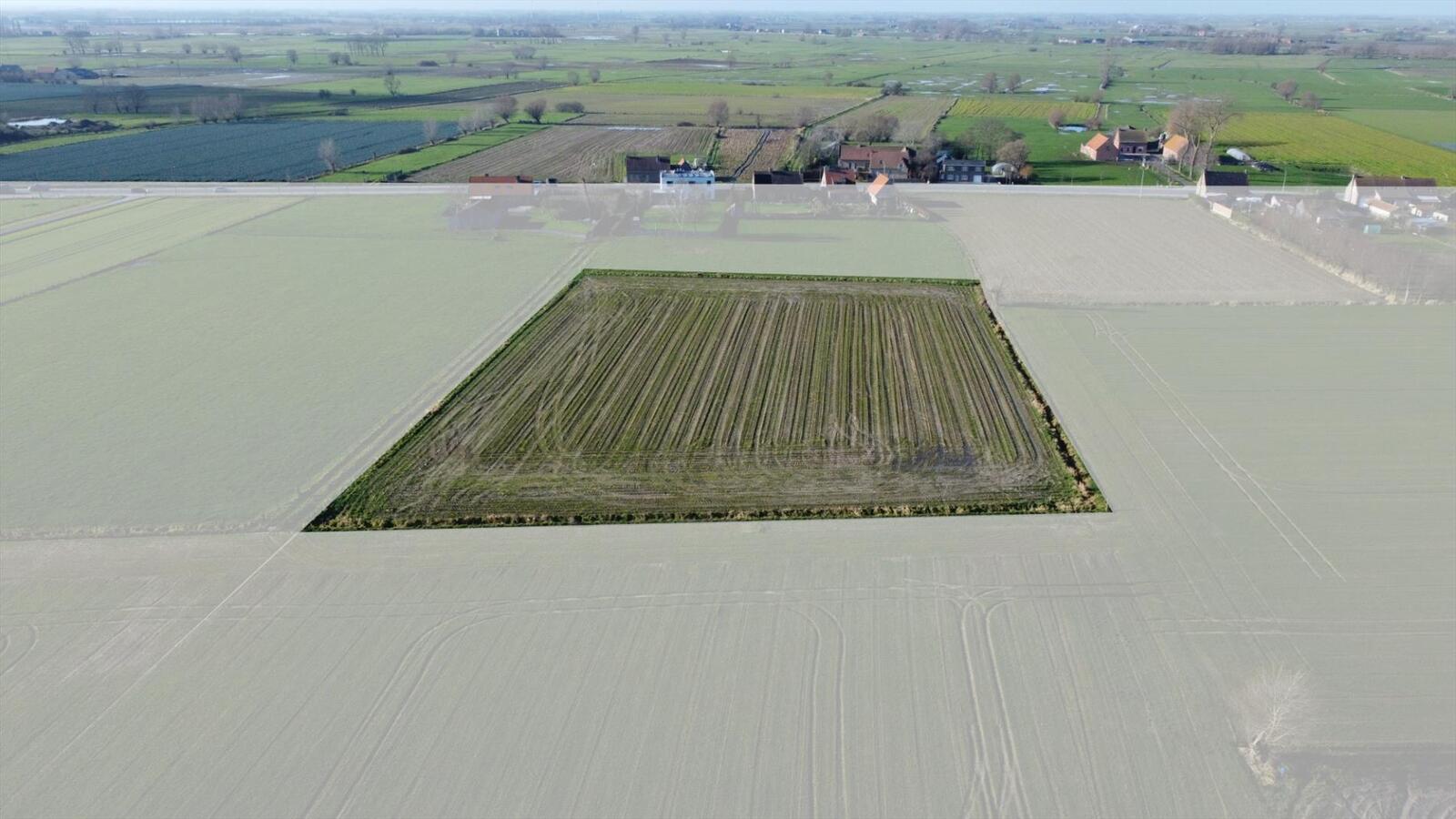 Perceel bouwland van 87a90ca gelegen nabij de Woumenweg. 