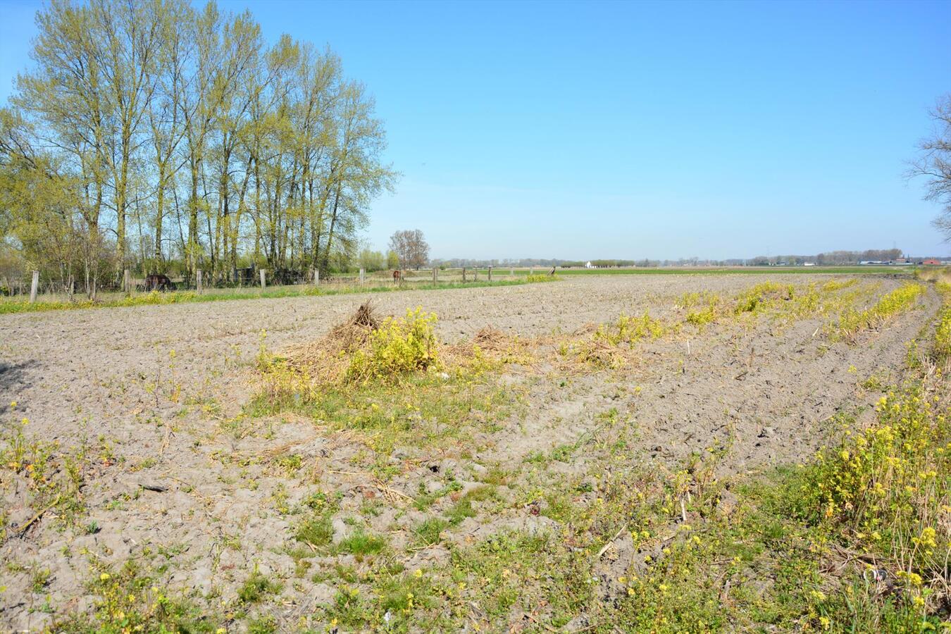 Goed gelegen stuk bouwland 