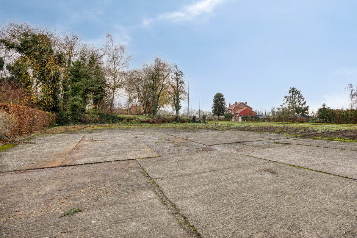 Tuinbouwcentrum met ruime woning op een perceel van 4,26 hectare 