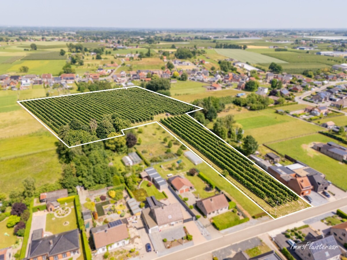 For sale land - Herk-de-Stad