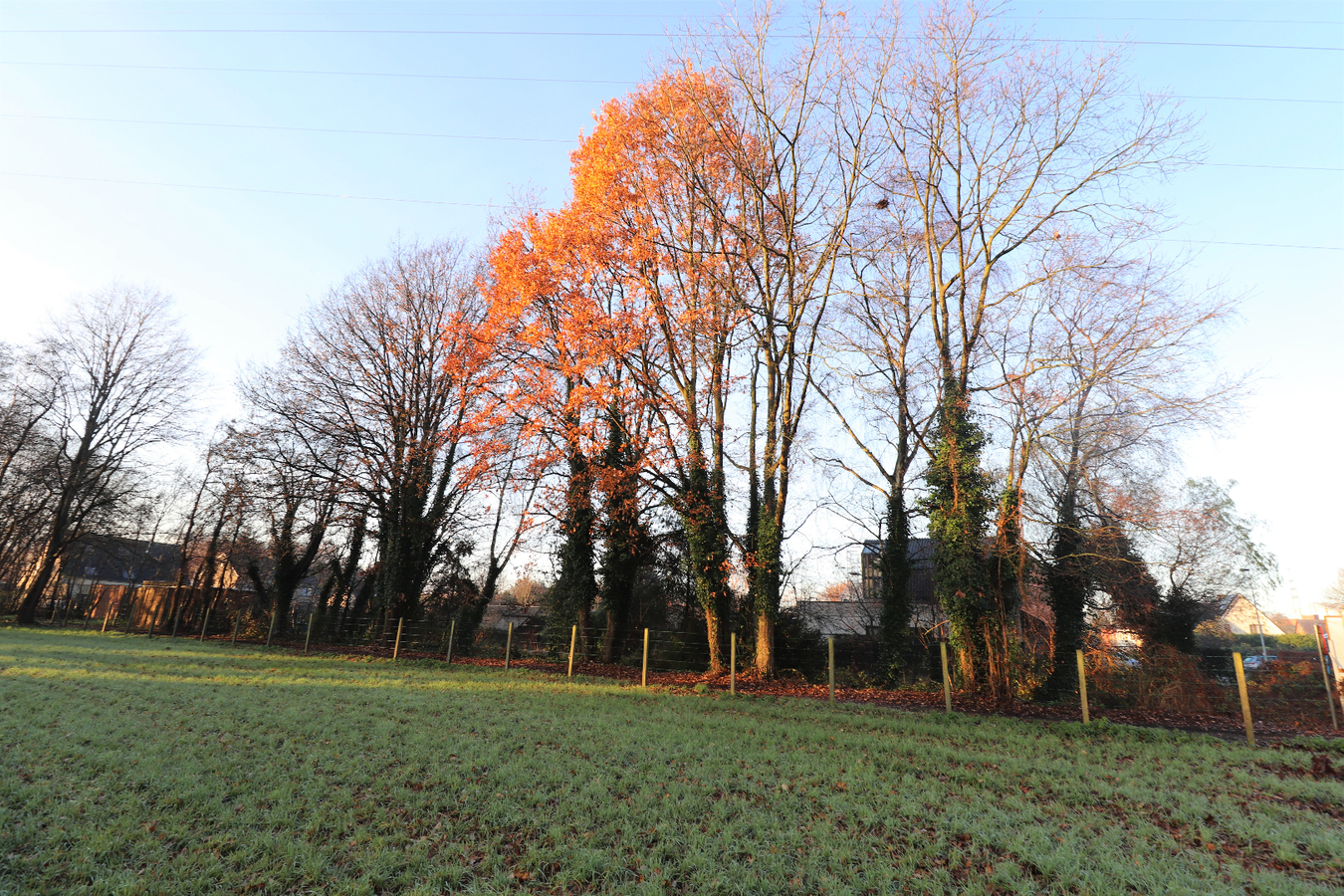 Verkocht grond - Mol