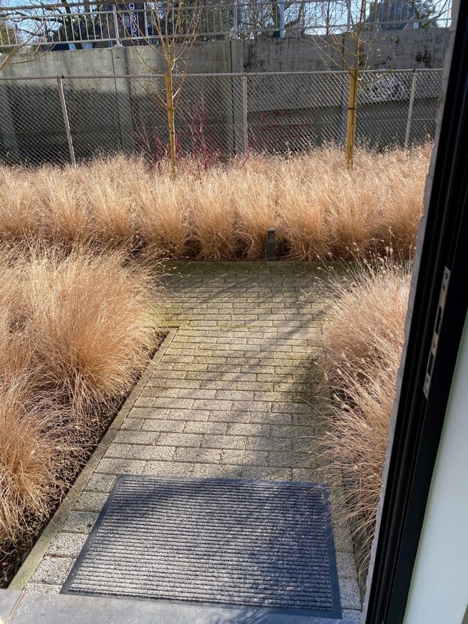 Nieuwbouwwoning nabij de Sterre - met terras en tuin ! 