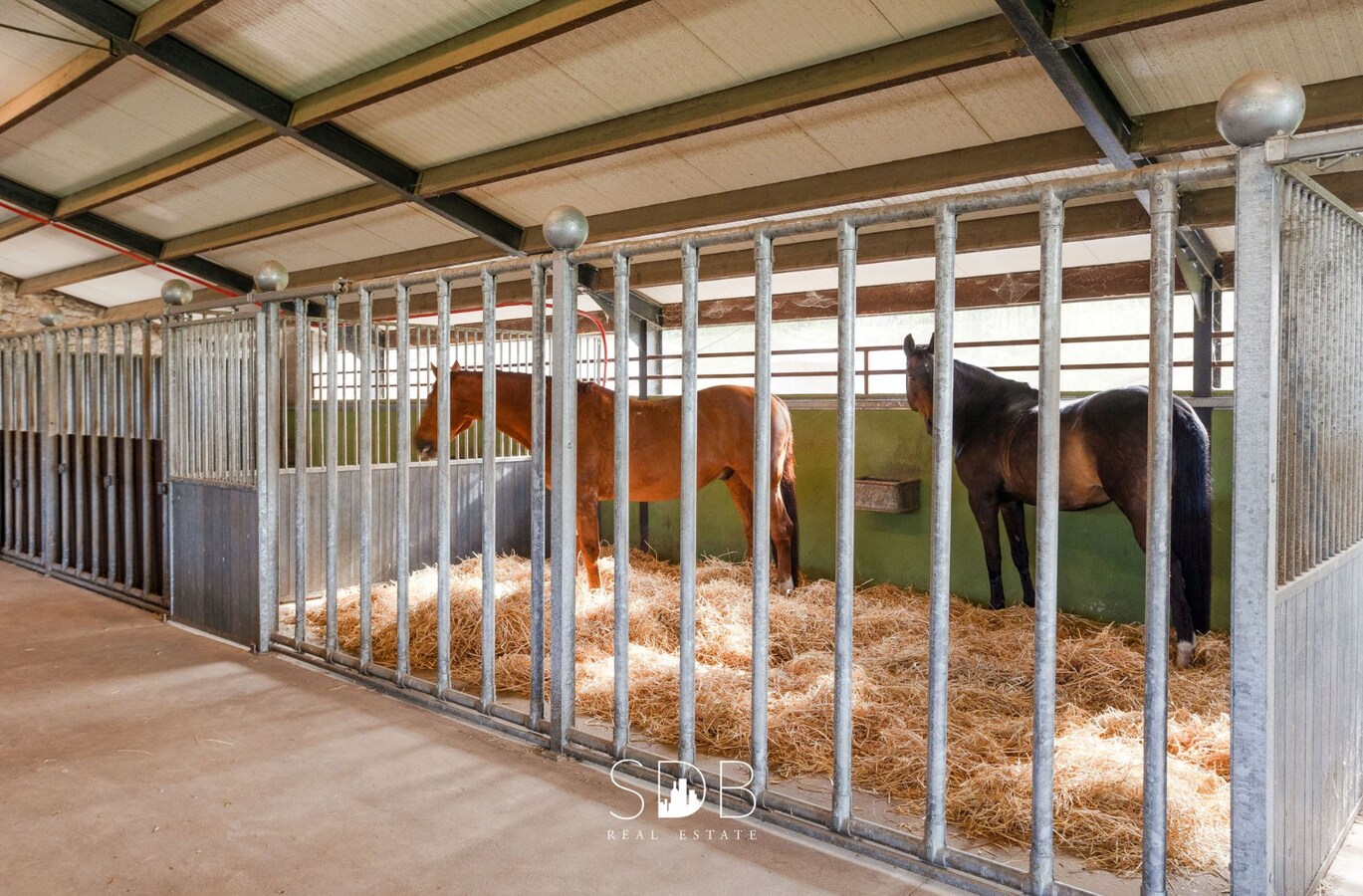 Hippische Complex met woonhuis en appartement op circa 31 Hectare 