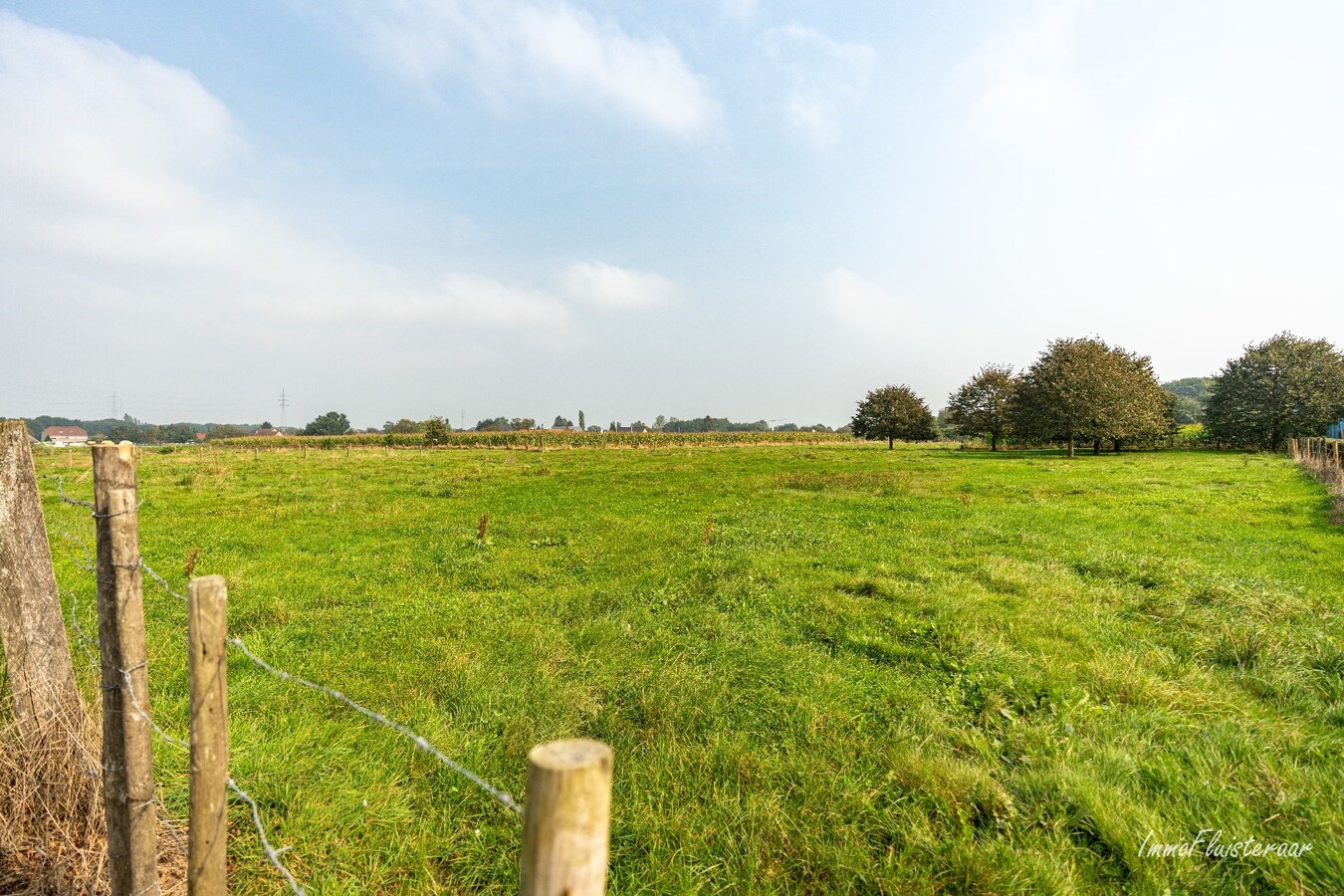 Prachtige villa met een ruim stalgebouw op ca. 2,2 ha te Dilsen-Stokkem 