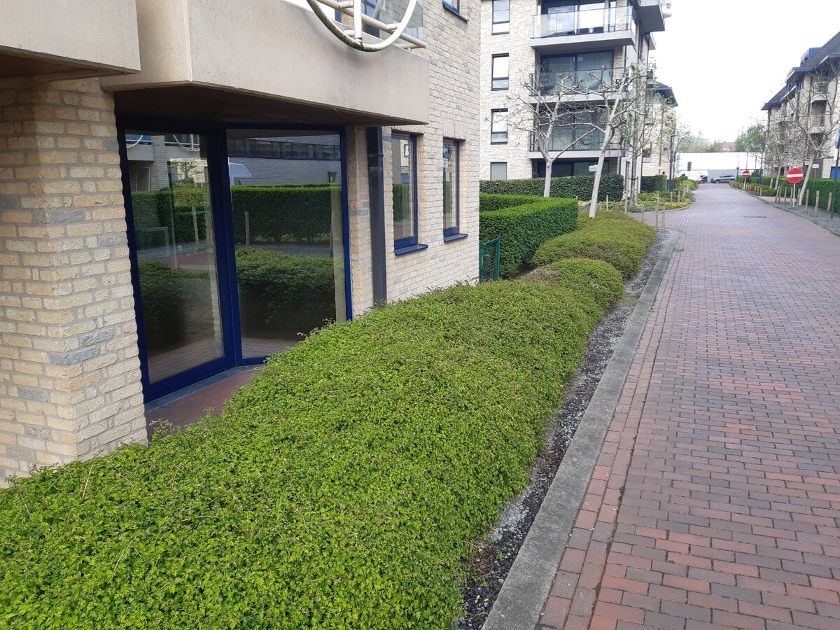 Aangename studio nabij Station (in t groen met terras). 