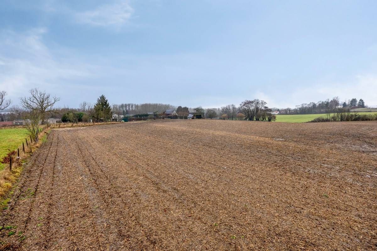 Landbouwgrond vrij van pacht in Bierbeek op een perceel van 1ha 