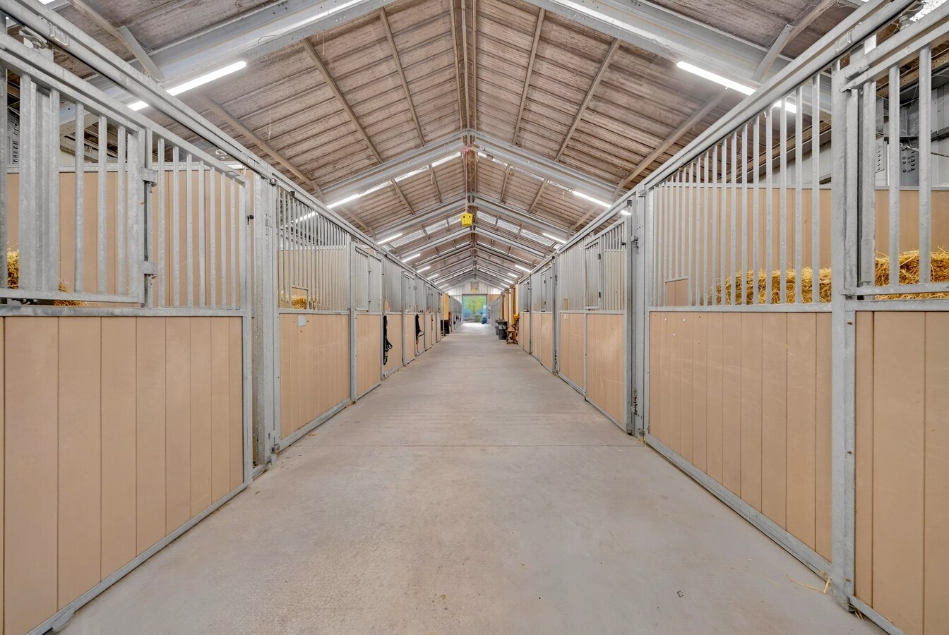 Prachtige paardenaccommodatie op ca. 3,2 ha te Wuustwezel 