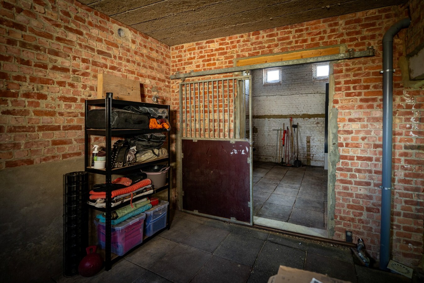 Renovated property with drained track and pasture on approximately 16 ares in Mielen-boven-Aalst. 