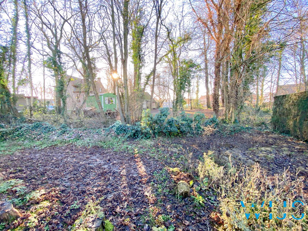 Stevige ruime gezinswoning op een prachtig perceel te KLUIZEN ! 