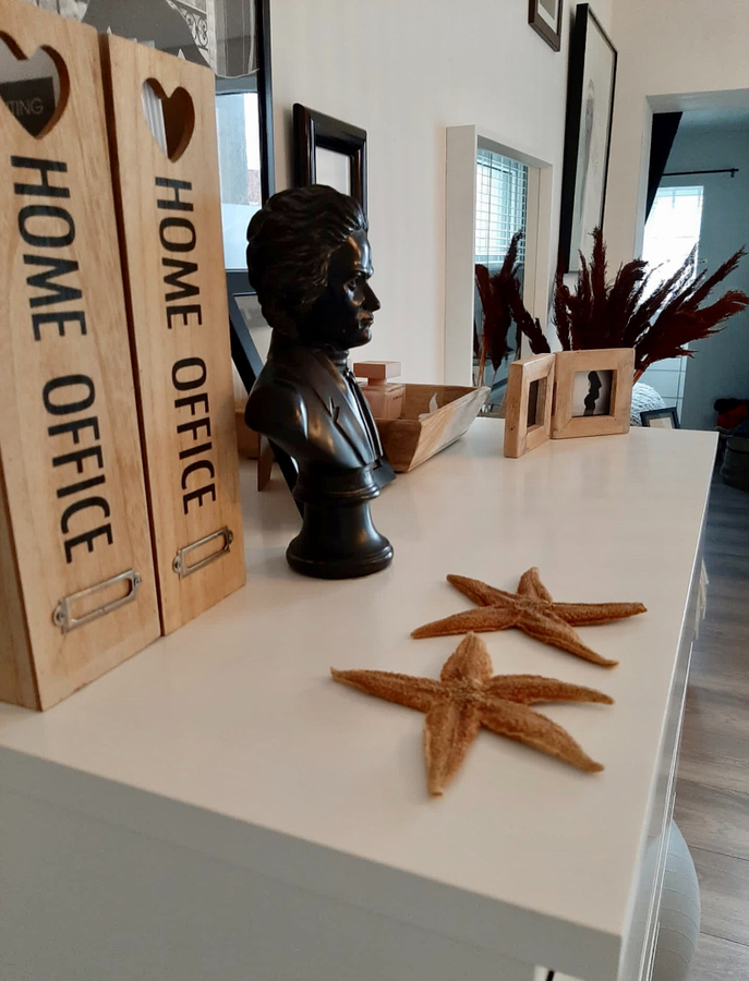 KNAP GERENOVEERDE RUIME WONING MET STADSTUIN 