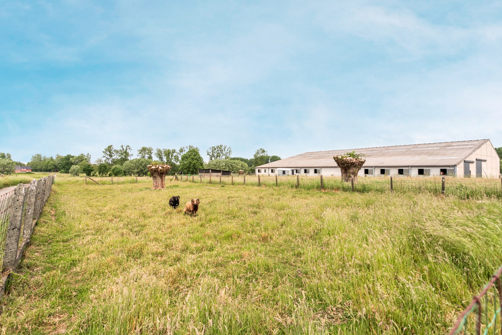 Authentieke hoeve in het landelijke Oetingen 