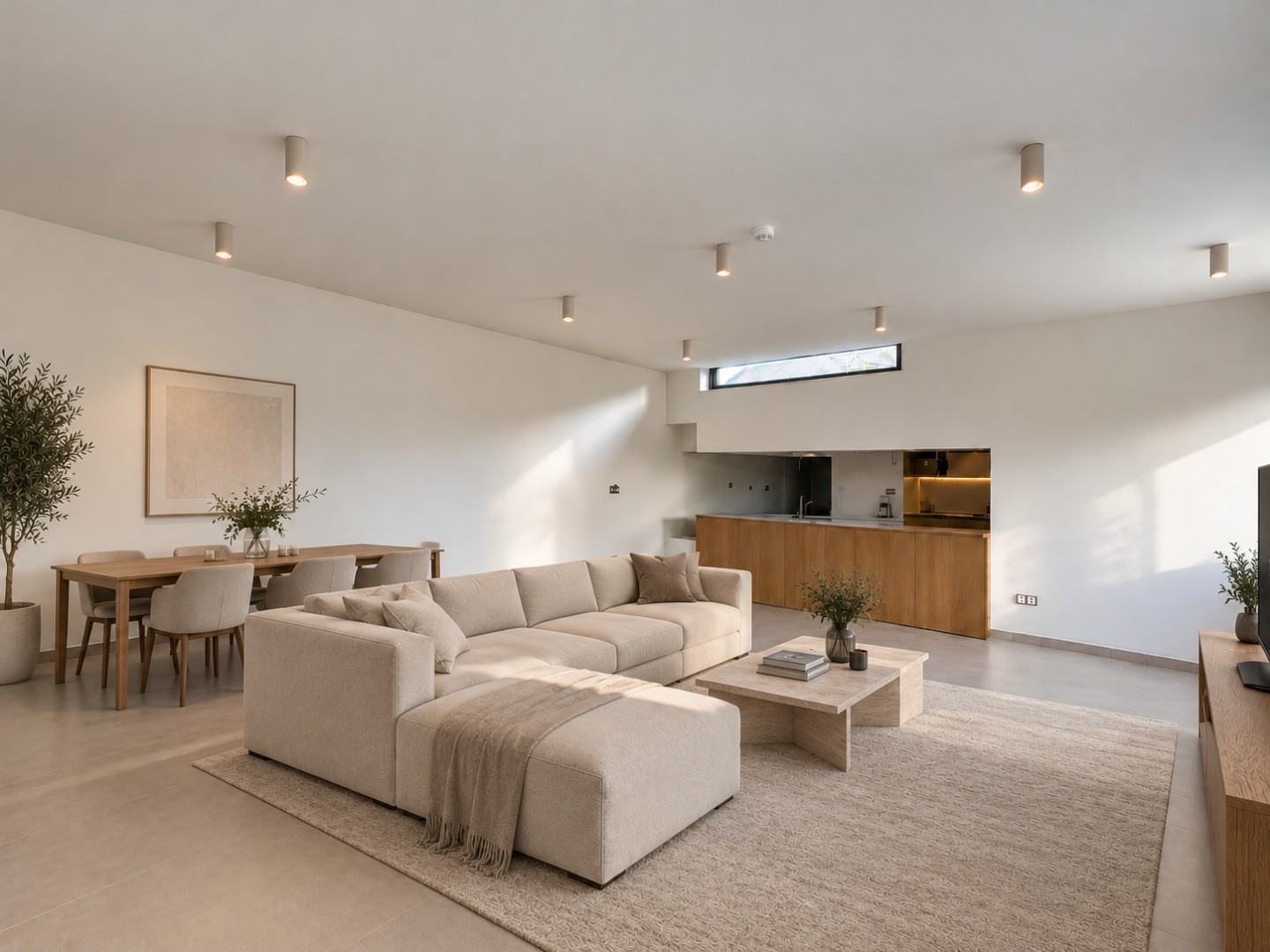 Ruim duplexappartement met 3 slaapkamers nabij Gent-Sint-Pieters 