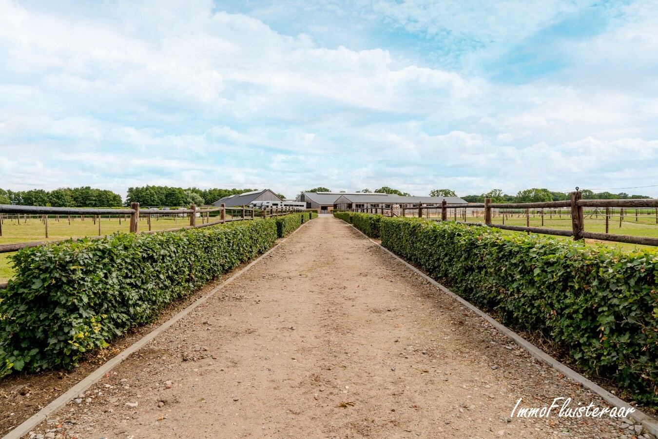 Prachtige professionele paardenaccommodatie op ca. 10 ha te Oudbergen 