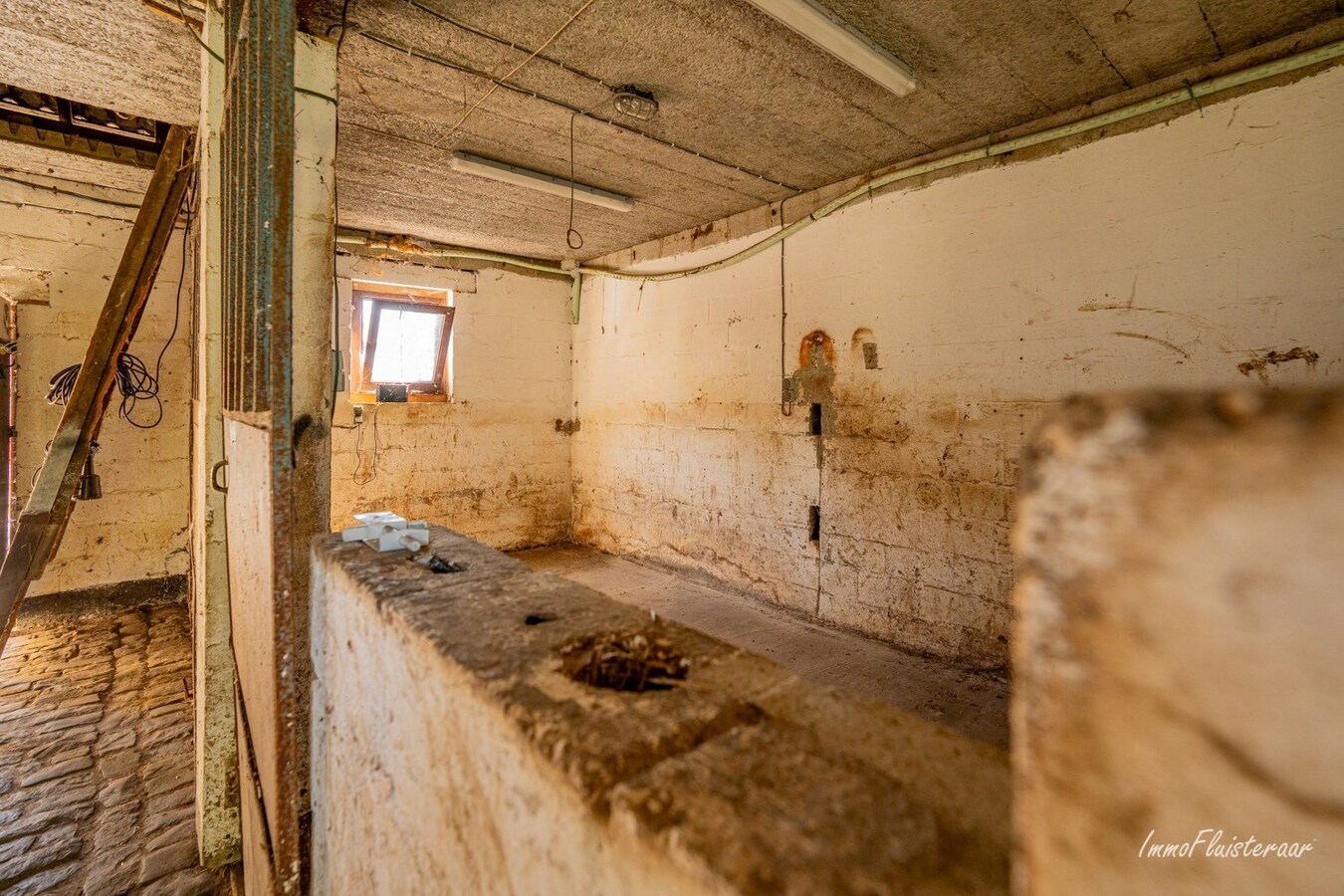 Maison soignée avec 4 écuries sur environ 75 ares à Tielt-Winge (Brabant flamand) 