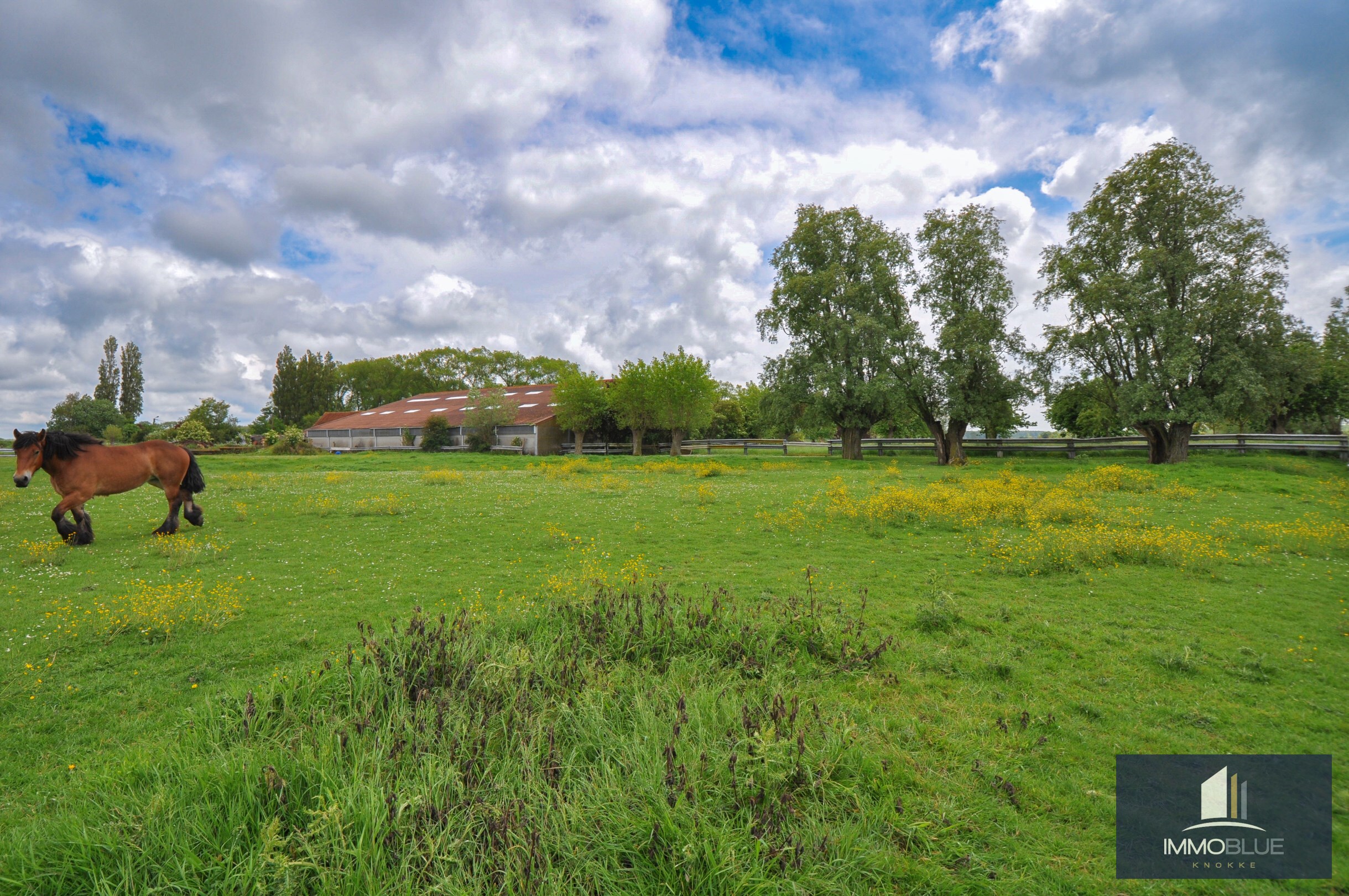 Idyllisch gelegen, te renoveren uniek eigendom te koop op enkele minuten van Knokke. 